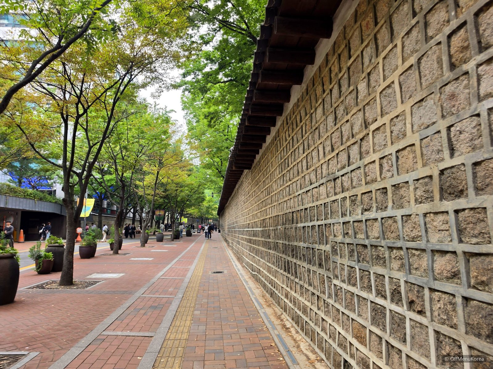 Tree-lined stone wall beside Deoksugung Palace in central Seoul